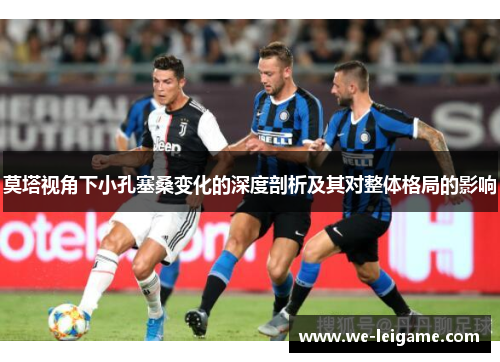 莫塔视角下小孔塞桑变化的深度剖析及其对整体格局的影响