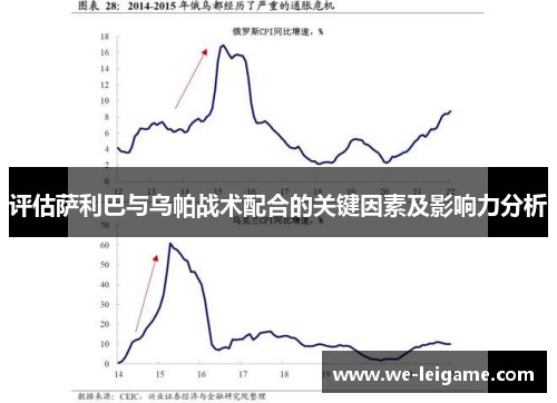 评估萨利巴与乌帕战术配合的关键因素及影响力分析